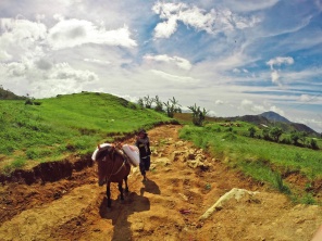 Landwirtschaft in den Bergen der Philippinen